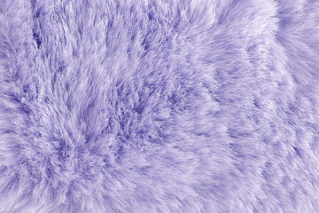 Violet long fibre soft fur texture. background full frame. copy space