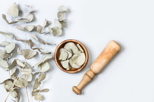 Hojas de eucalipto y mortero de madera de bamb&uacute; sobre un fondo gris claro aislado. Vista superor. Copy space. Ingredientes para medicina alternativa y cosm&eacute;tica natural. Concepto: Salud y Belleza