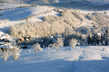 winter landscape with snow