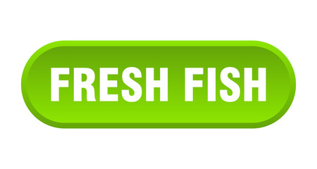 fresh fish button. rounded sign on white background