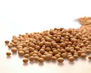 Heap oj soy beans on light table, perspective image with focus selected 
