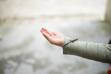 kide with a lizard on his hands