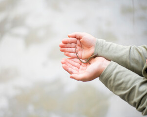 kide with a lizard on his hands