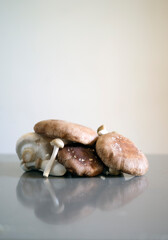 fresh mushrooms in the kitchen