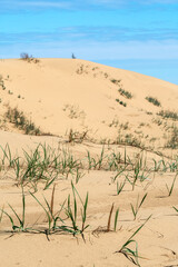 Sarykum Dune, Republic of Dagestan, Russia
