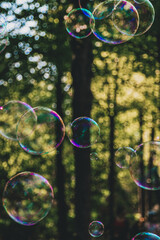 soap bubbles in the park