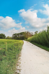 Fototapeta na wymiar Rural landscape, country road between fields, blue sky with clouds