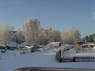 winter in the park