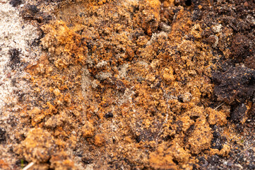 Surface texture of a mixture of sand and earth, close-up.