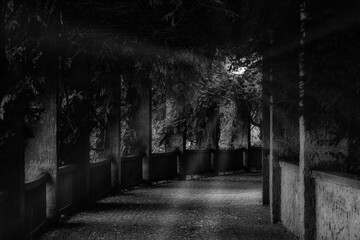 Das schöne und geheimnisvolle