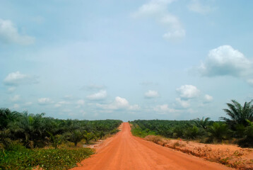 Dirt Road to the Lake among the Green Fields