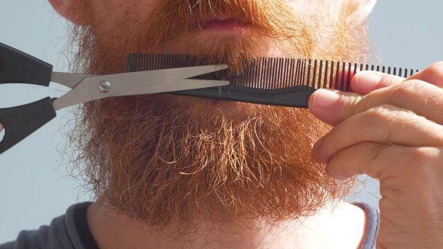 Adult man cutting his own beard and mustache with scissors and comb. Caucasian red bearded male trimming hair on face at home. Do it yourself self-made haircut.Selfcare DIY during quarantine isolation
