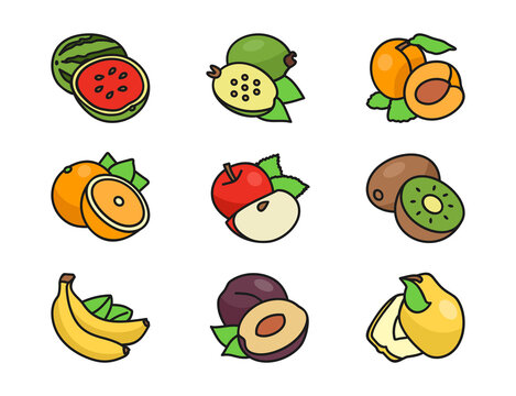 Fruits, set of fruits, food, Apple, Feijoa, Apricot, Orange, Watermelon, Kiwi, Banana, Plum, Quince, Vector, isolated on white