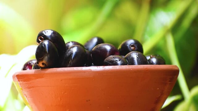 Close up of juicy jamun fruits falling in the bowl