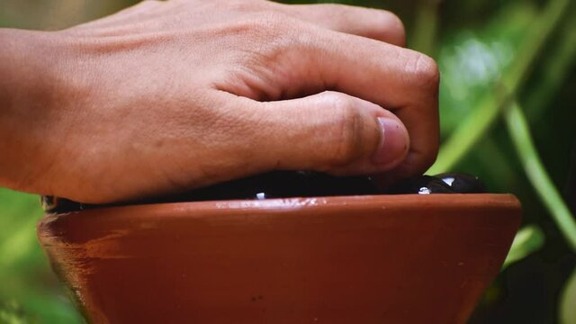 Close up shot of woman's hand picking juicy Jamun fruit from bowl
