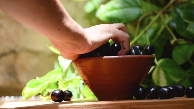 Close up shot of woman's hand picking juicy Jamun fruit from bowl