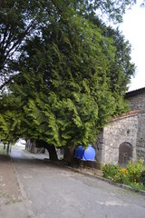 street in the town country