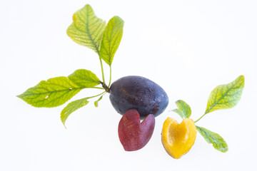 organic japanese angeleno plum type amber colored