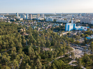 Fototapeta na wymiar Aerial drone view. Kiev park with pines.