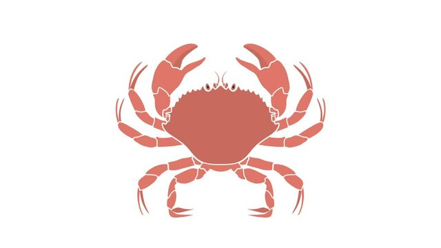 Animated crab on an isolated white background. Seamless looping animation
