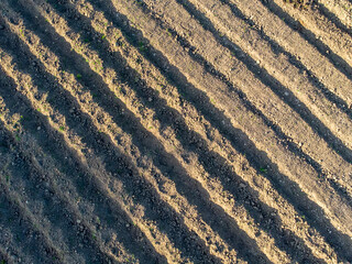 Areal agriculture view of field with shadows in the eveing sun.
