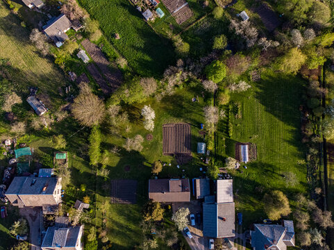 Areal suburbs view with house roofs, gardens in a evening sun light.