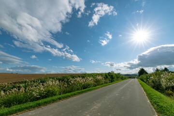北海道　美しい美瑛町の風景