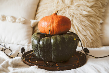 Two pumpkins green and orange. Thanksgiving or Halloween greeting card