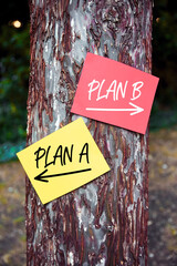Plan A versus Plan B words written on papers on a tree with arrow signs. Choosing a strategic plan...