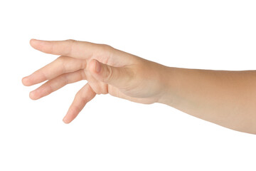 Beautiful female hand isolated on white background