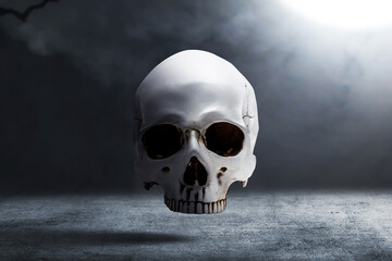 Human skull on the concrete floor