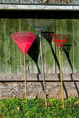 Rakes are at the Ready as Leaves begin to gall here in Windsor in Upstate NY	