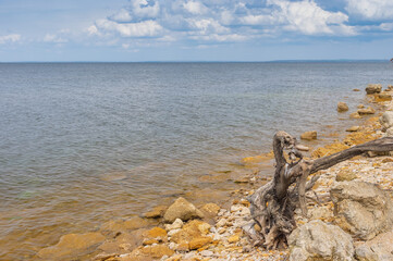 Spring landscape with wild pebble beach on Kakhovka Reservoir located on the Dnipro River