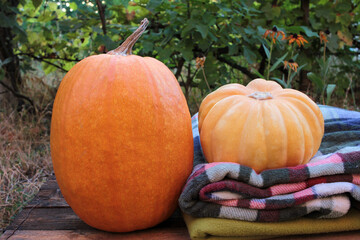 Pumpkin on a stack of folded checkered plaids in the autumn garden. Cozy fall concept

