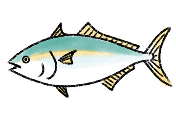 イナダ　ハマチ　ブリ　魚　手描き
