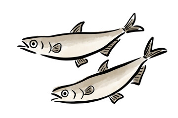 シシャモ　ししゃも　柳葉魚　魚　筆　手描き
