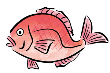 鯛　タイ　たい　魚　筆　手描き
