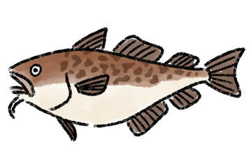 たら　タラ　鱈　手描き
