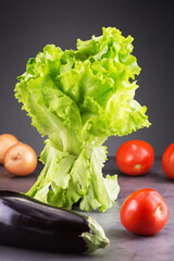 lovely fresh leafy salad with various vegetables
