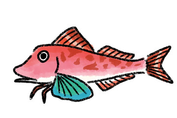 ほうぼう　ホウボウ　魚　筆　手描き
