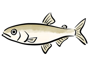 わかさぎ　公魚　魚　筆　手描き
