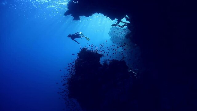 Free diver exploring vivid coral reef in tropical sea