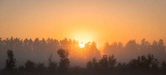 Fototapeta premium Orange sun rising behind the trees, a meadow covered with dense fog. The golden hour, misty morning. Beautiful misty sunrise landscape. Foggy morning with trees through the dense fog.