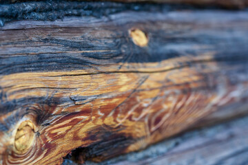 A slightly burned wall of rough-hewn pine logs is insulated (otherwise caulking cracks) with a...