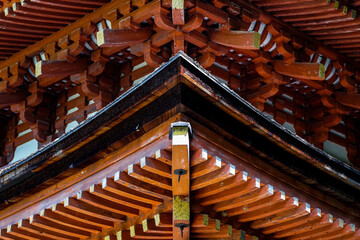 Obraz na płótnie Canvas Joruriji Temple in Nara.