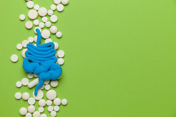 Human intestines, constipation and digestive problems. Treatment with probiotics, bowel irritation.