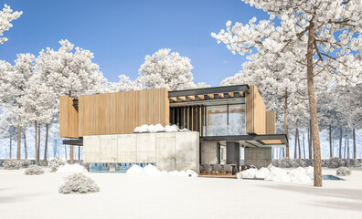 3d rendering of modern cozy house with parking and pool for sale or rent with wood plank facade and beautiful landscaping on background. Cool winter day with shiny white snow.