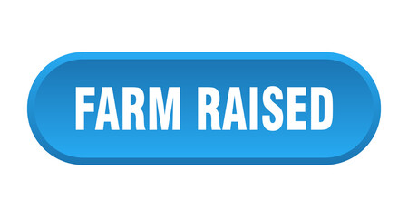 farm raised button. rounded sign on white background