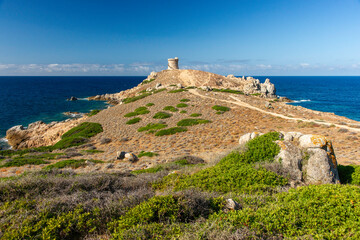 Fototapeta na wymiar Punta d'Omigna, Korsika