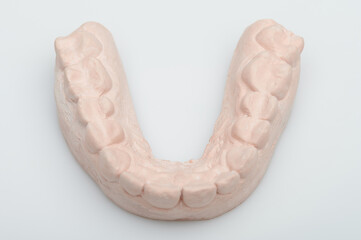 Model of human teeth